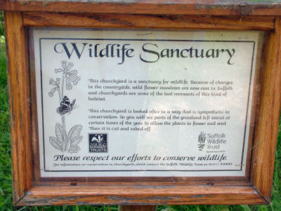 The Churchyard is a Wildlife Sanctuary