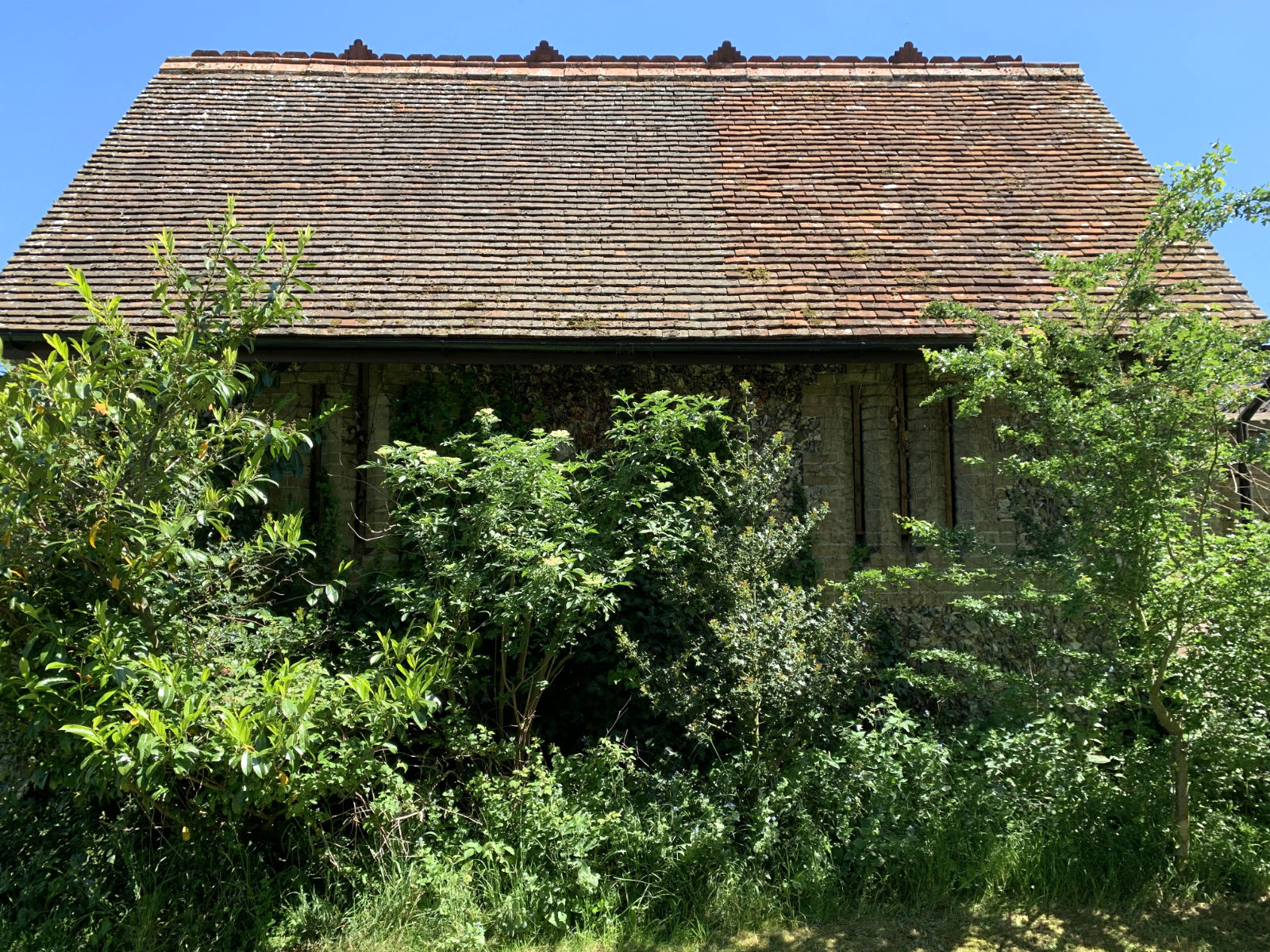 The Henham Estate Coach House roof with surrounding shrubbery